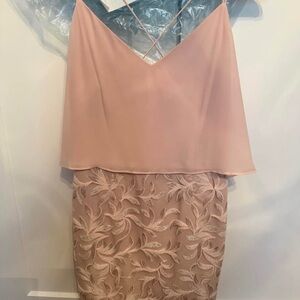 Aidan Mattox Elegant Blush Pink Dress with Lace Skirt